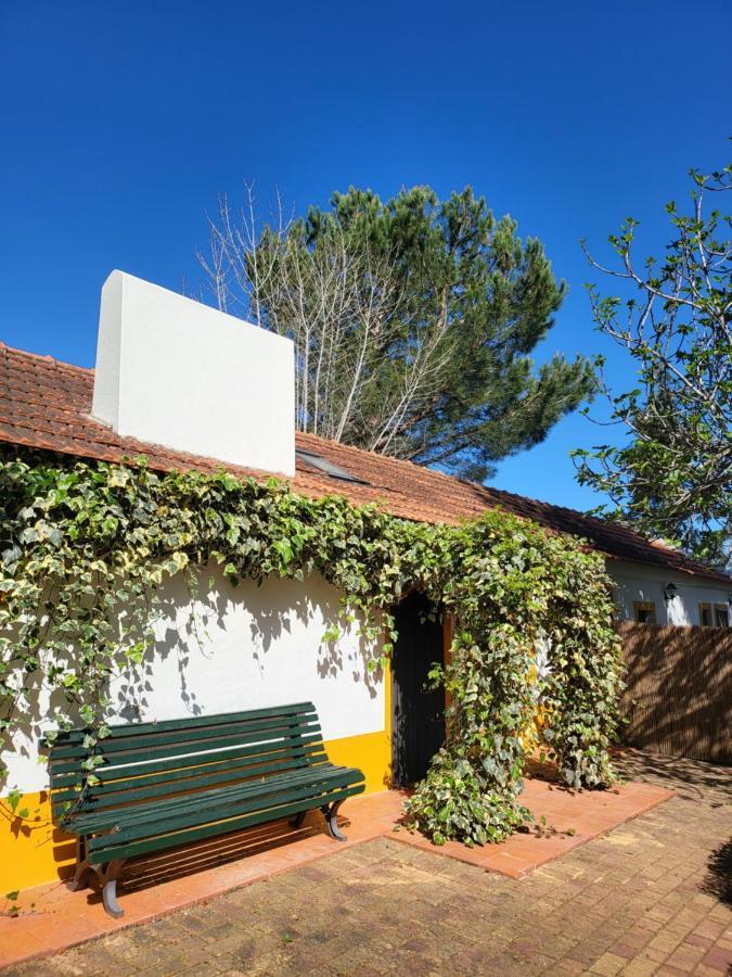 Hotel Quinta da Mimosa Fajarda Esterno foto