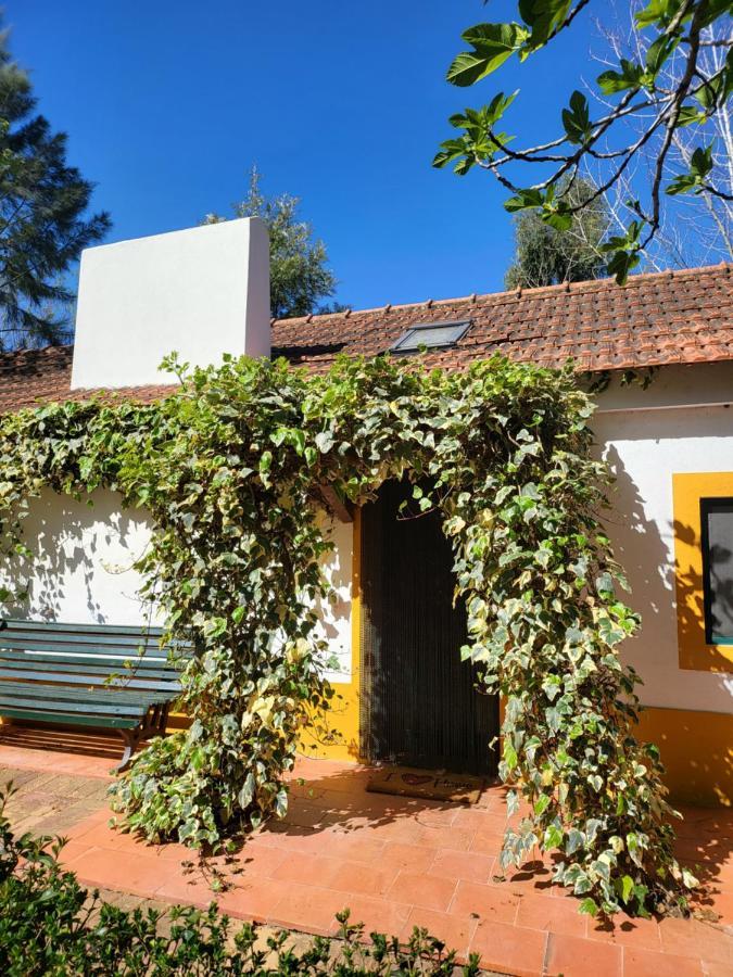 Hotel Quinta da Mimosa Fajarda Esterno foto