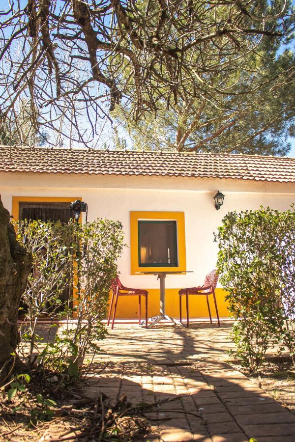 Hotel Quinta da Mimosa Fajarda Esterno foto